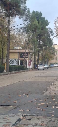 عکس کافه پدرخوانده
