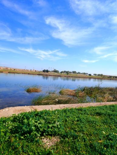 عکس پارک ساحلی