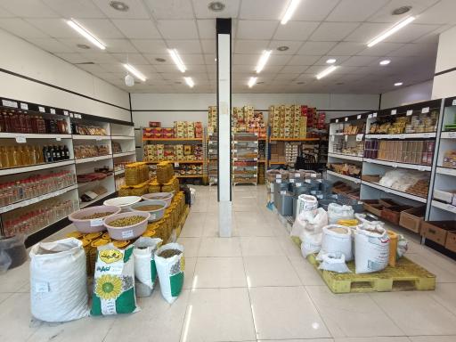 عکس همیار محله