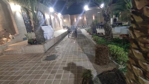 عکس نخلستان باباحاجی