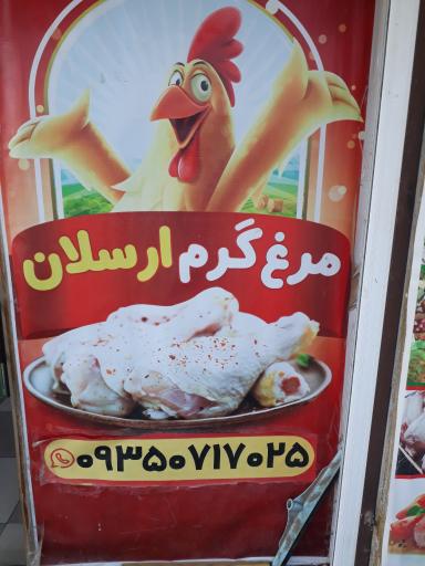 عکس مرغ گرم ارسلان