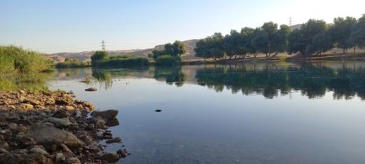 عکس پارک ساحلی