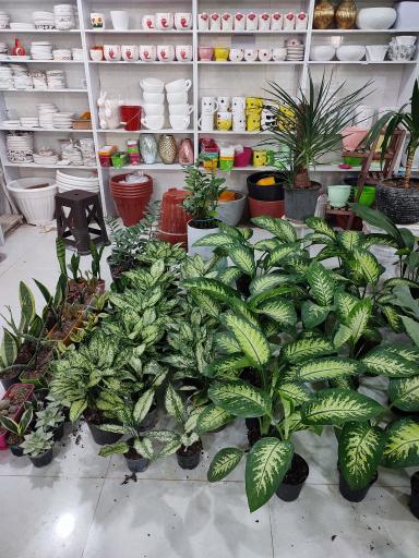 عکس گلفروشی ندا