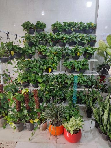 عکس گلفروشی ندا