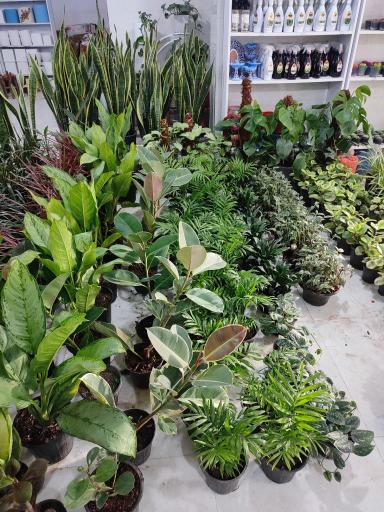 عکس گلفروشی ندا