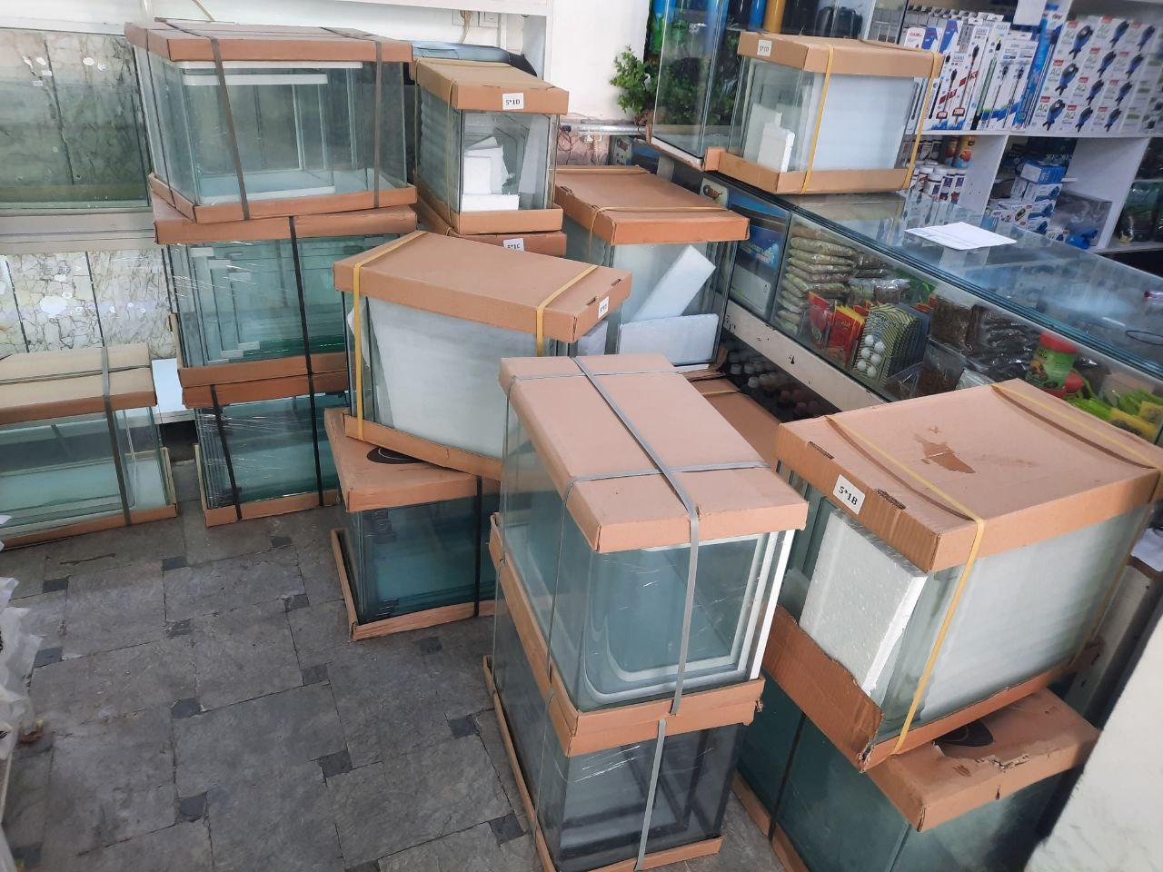 عکس آکواریوم پردیس