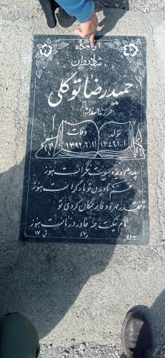 عکس مزار حمیدرضا توکلی