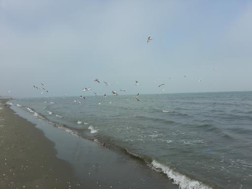 عکس اقامتگاه مهران