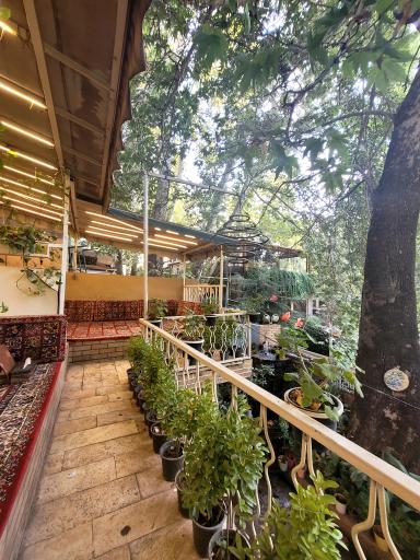 عکس رستوران کباب الملک