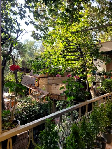 عکس رستوران کباب الملک