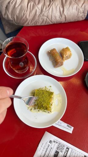 عکس مصطفی پاشا