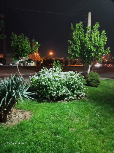 عکس بوستان مدافعان سلامت