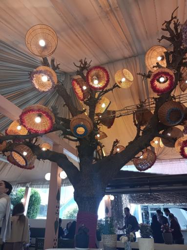 عکس باغ رستوران نرگس