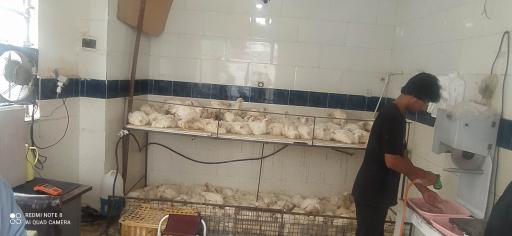 عکس مرغ فروشی برادران کمالی