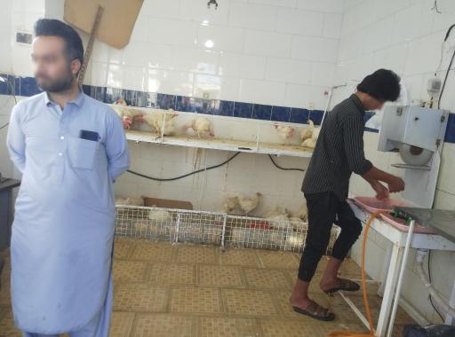 عکس مرغ فروشی برادران کمالی