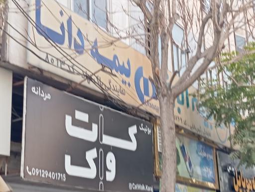 عکس بیمه دانا 