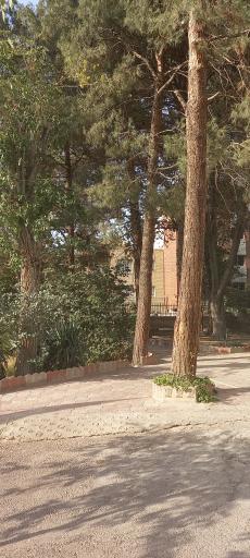 عکس کانون پرورش فکری