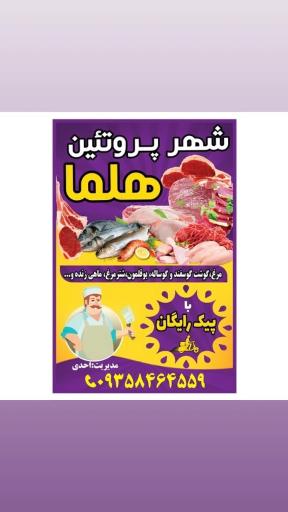 عکس شهر پروتئین هلما