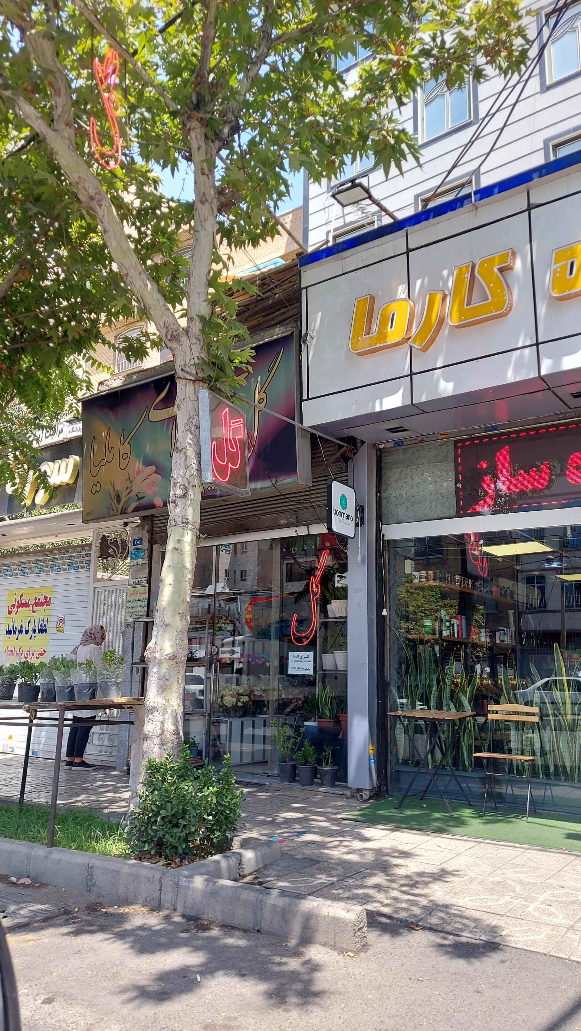 عکس گلفروشی کاملیا