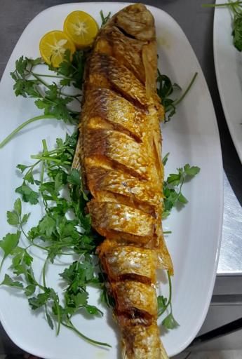 عکس شهر غذای وارش 