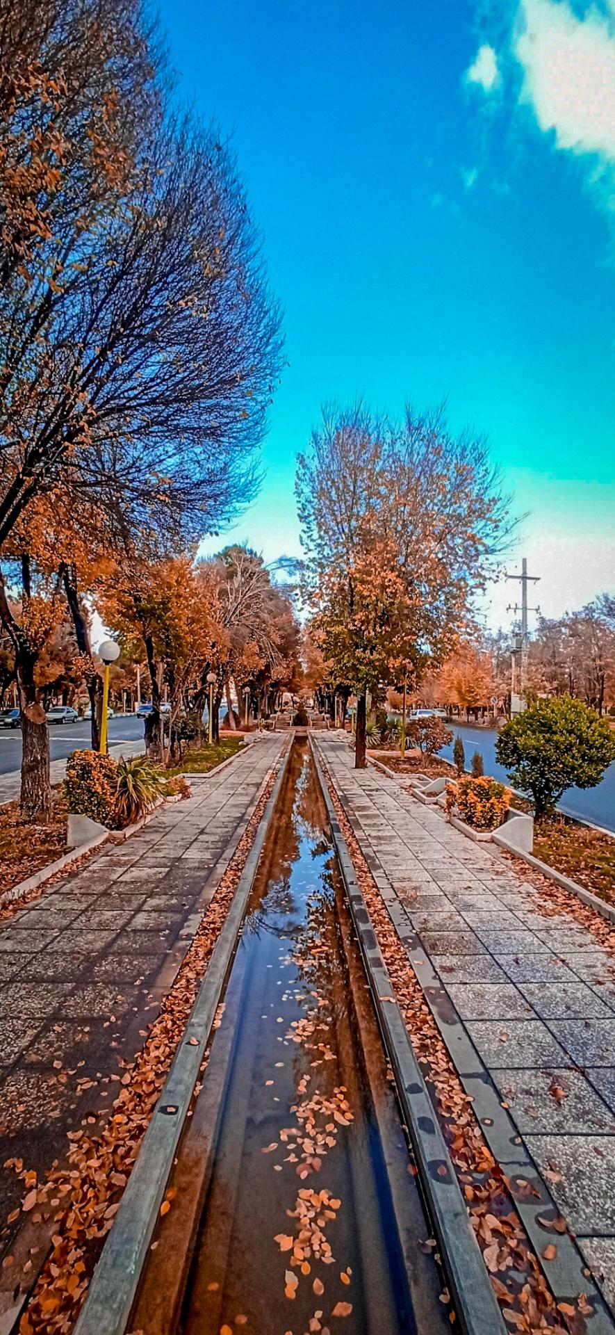 عکس بوستان مادر
