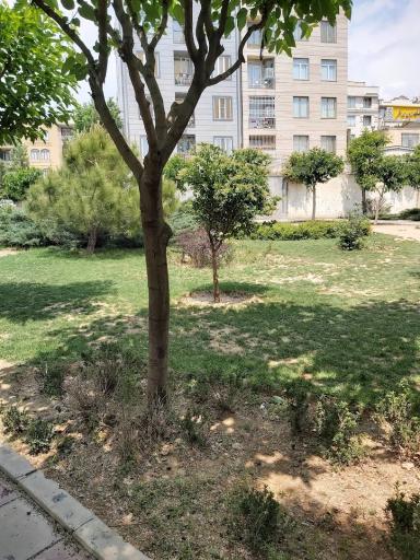 عکس پارک گلنوش