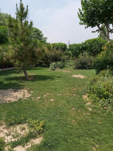 عکس پارک گلنوش