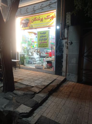 عکس خوراک پرندگان