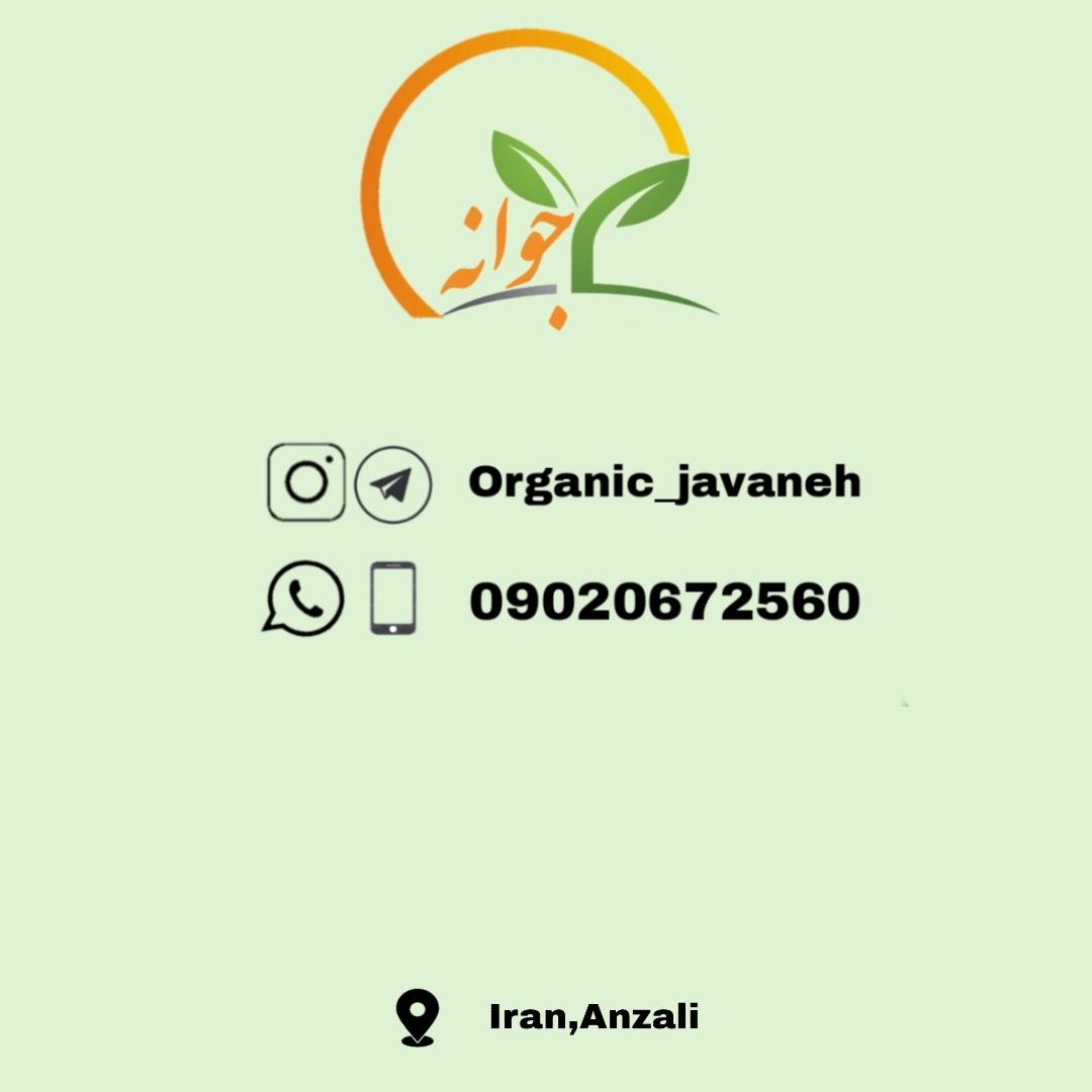 عکس خشکبار و ارگانیک جوانه