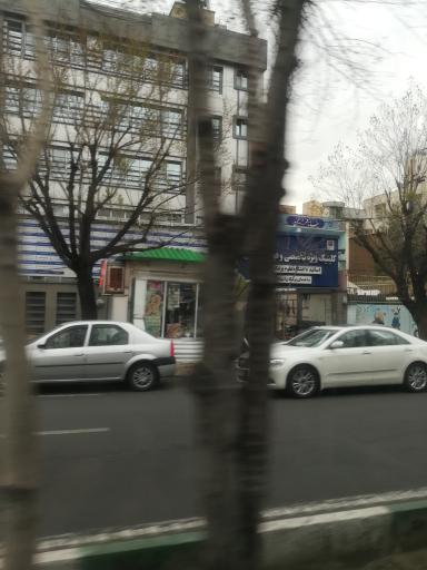 عکس دکه گل فروشی