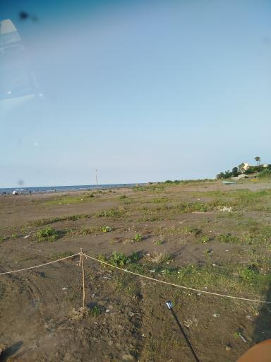 عکس ساحل زیبا