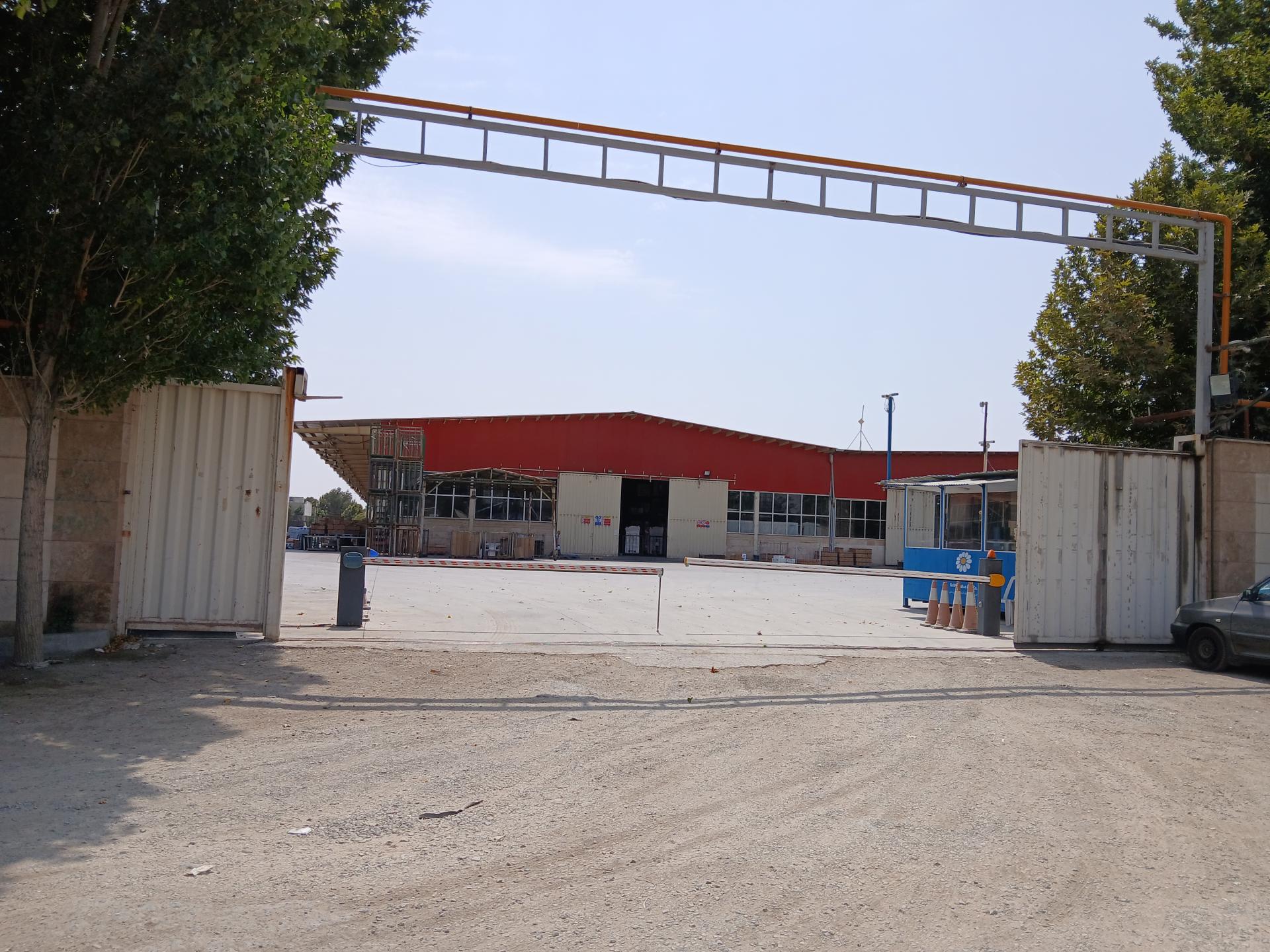 عکس گل پخش اول پاکشو