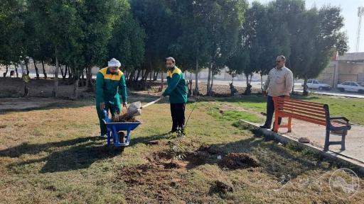 پارک گلبهار