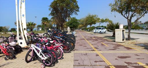 عکس ایستگاه دوچرخه سواری رضا