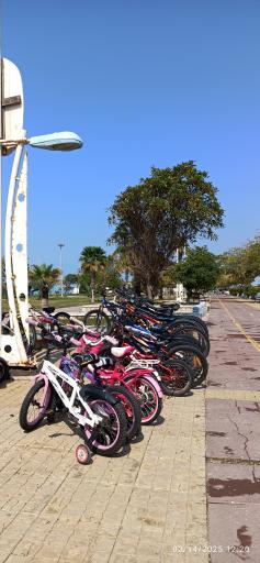 عکس ایستگاه دوچرخه سواری رضا