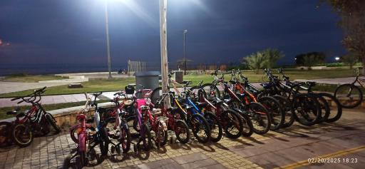 عکس ایستگاه دوچرخه سواری رضا