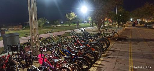 عکس ایستگاه دوچرخه سواری رضا