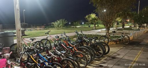 عکس ایستگاه دوچرخه سواری رضا