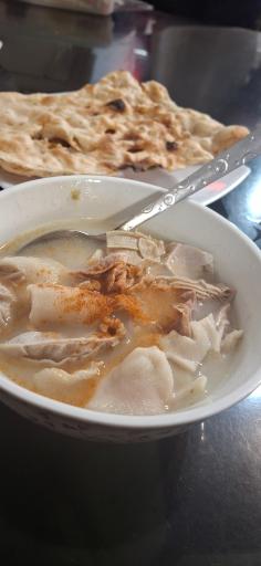 عکس طباخی امیر