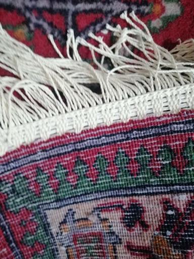 عکس قالیشویی گلزار 