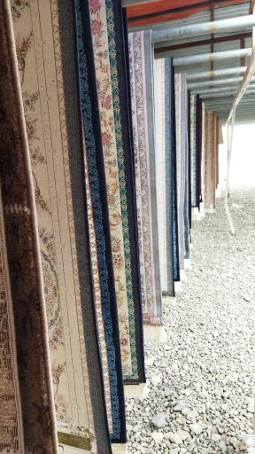 عکس قالیشویی گلزار 