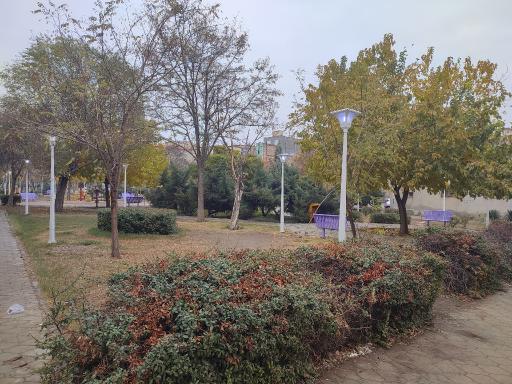 عکس بوستان سلمان