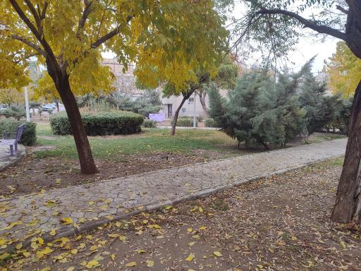 عکس بوستان سلمان