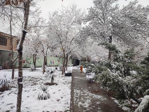 عکس بوستان سلمان