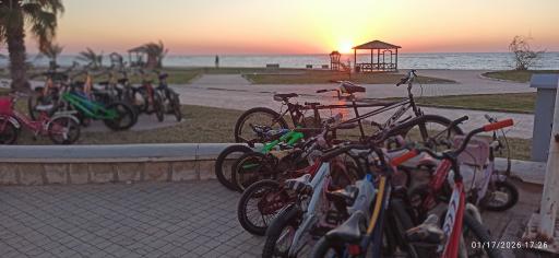 عکس ایستگاه دوچرخه سواری رضا