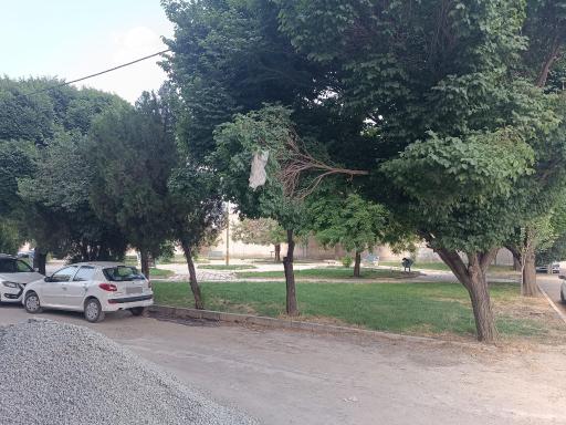 عکس بوستان لادن