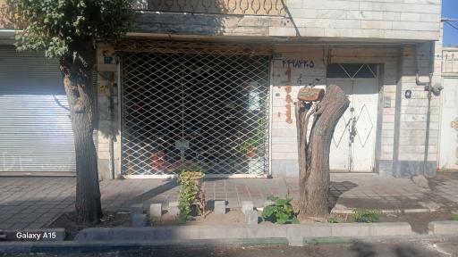 عکس خانه موسیقی (آموزشگاه و فروش ساز)