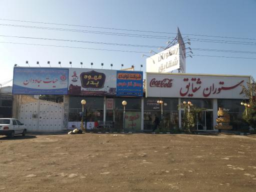 عکس حیات جاودان