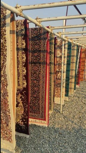 عکس قالیشویی گلزار 