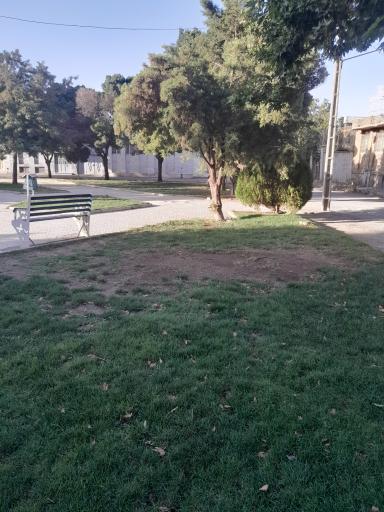 عکس بوستان لادن